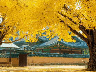 韩国外贸数据,外贸数据,evo真人视讯外贸数据 韩国外贸数据,外贸数据,evo真人视讯外贸数据